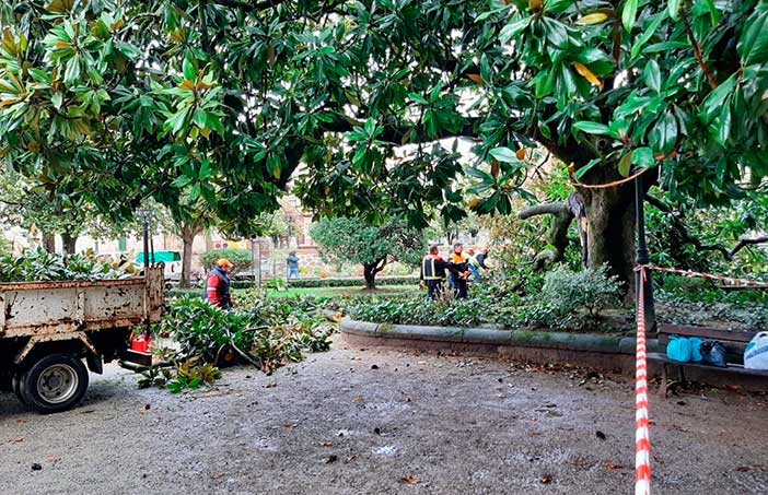 Cae en Noia unha rama de máis de 3.000 kilos nos xardíns de Felipe de Castro